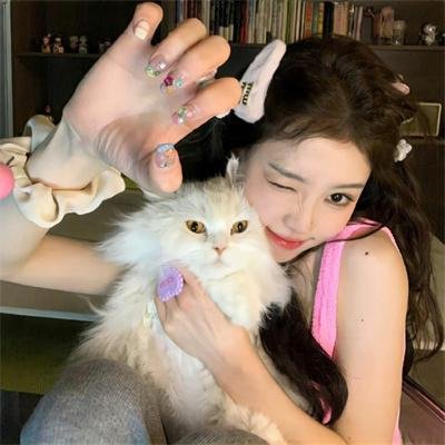 娘娘今天也不想加班